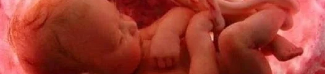 شكل الجنين في الشهر السابع وحركته ووضعيته