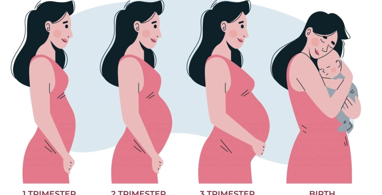 ما هي مراحل متابعة الحمل بالاسابيع في المدينة المنورة