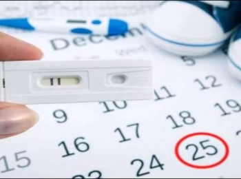 نسبة حدوث الحمل بعد انتهاء التبويض بيوم وأهم الأعراض والعلامات وأفضل أوقات الحمل