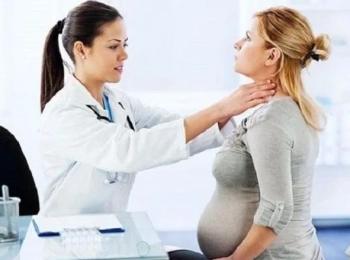 الغدة الدرقية والحمل بتوأم؟ الحقيقة وراء الاعتقاد الشائع