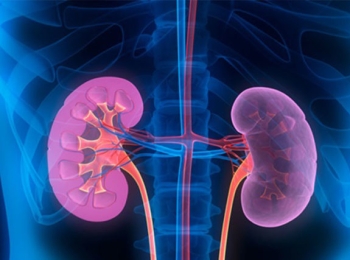 د.هدى سمير افضل دكتورة اشعة السونار للكلى في المدينة المنورة