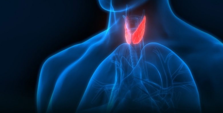 ما هي اهم اضطرابات الغدد الصماء للرجال والنساء