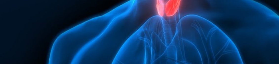 ما هي اهم اضطرابات الغدد الصماء للرجال والنساء