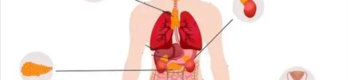 افضل دكتور لعلاج أعراض الغدد الصماء في المدينة المنورة