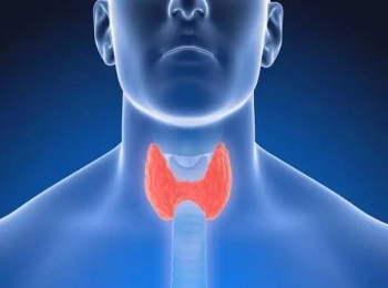 د.احمد زيتوني أفضل دكتور غدد صماء بالمدينة المنورة