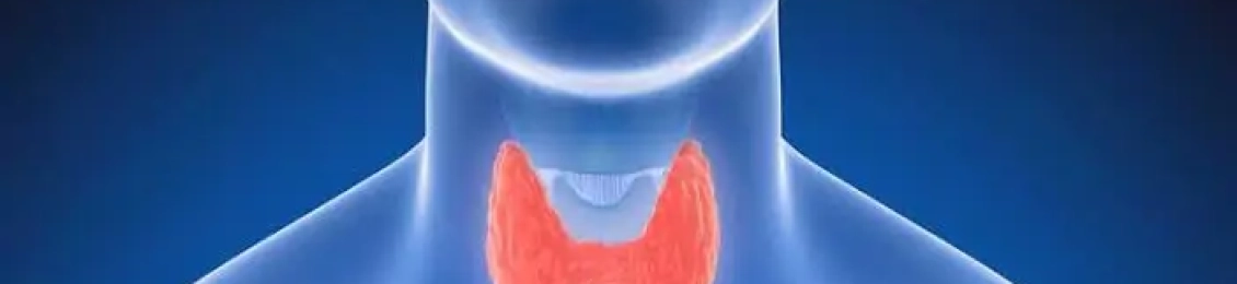 د.احمد زيتوني أفضل دكتور غدد صماء بالمدينة المنورة