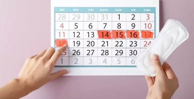كيف تختارين أفضل دكتورة نساء لمشاكل الدورة في المدينة المنورة؟
