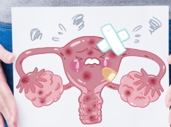 اسباب ضعف التبويض وأهم طرق العلاج التي تساعد في تنشيط الإباضة