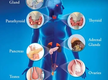 افضل استشاري غدد صماء بالمدينة المنورة