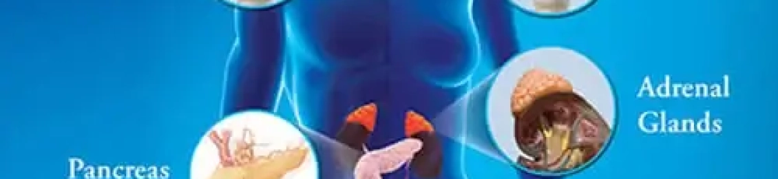 افضل استشاري غدد صماء بالمدينة المنورة