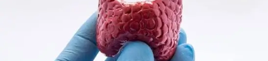 أفضل دكتور غدد صماء وهرمونات في المدينة المنورة