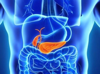 ماذا تعرف عن البنكرياس وامراضه؟