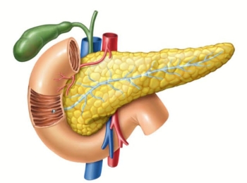 اهم اعراض التهاب البنكرياس وطرق علاجه